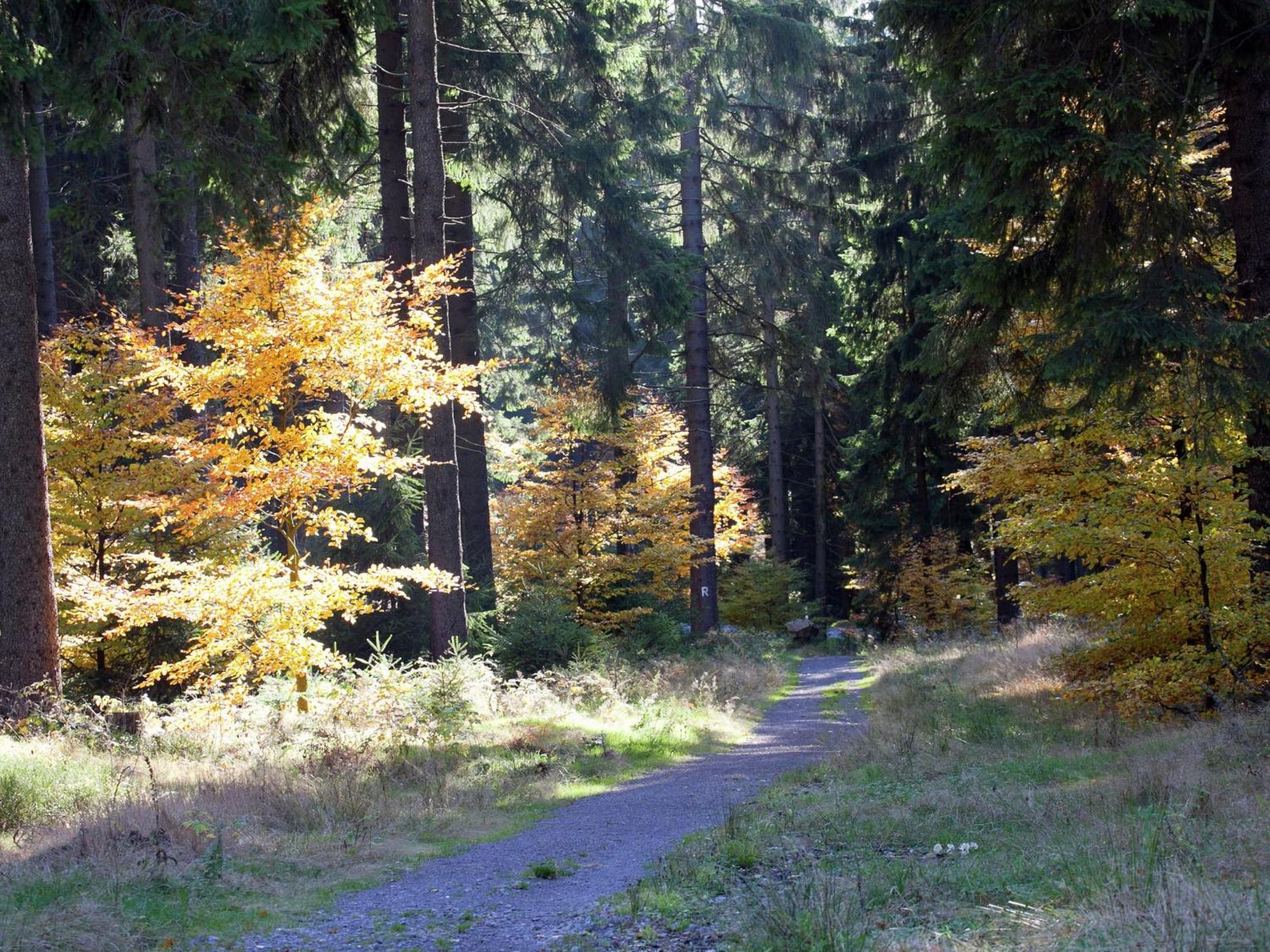 Apartment In Heubach In The Forest Giessubel Luaran gambar